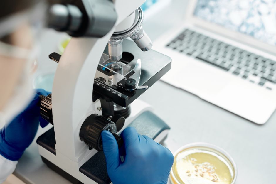 Synthetic Biology Is Leaving the Lab: The Industries It Will Reshape First
